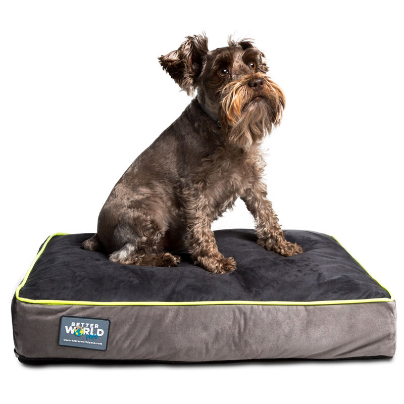 Better world pets dog bed hotsell